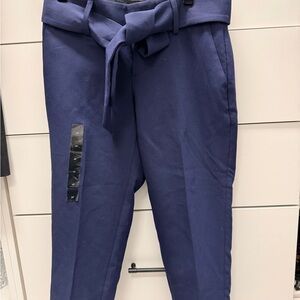 Banana Republic Deep Blue Petite Pants